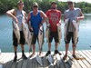(07/12/2017) - Nice Striped Bass